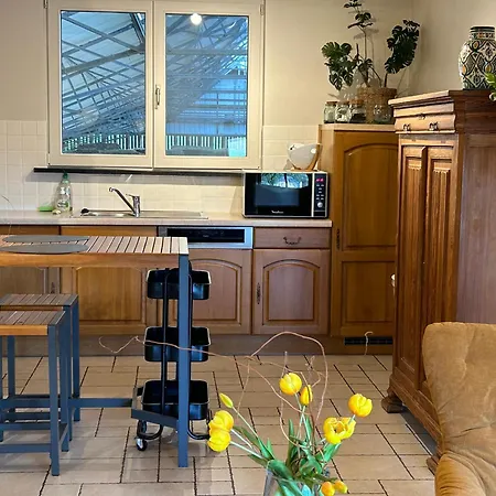 Au Coeur Des Collines, Chouette