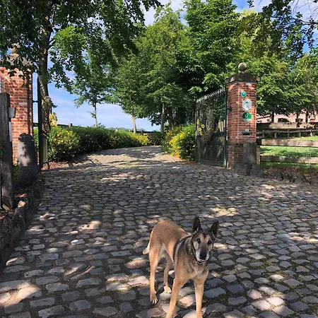 Au Coeur Des Collines, Chouette * Ellezelles