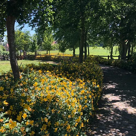 Au Coeur Des Collines, Chouette Ellezelles